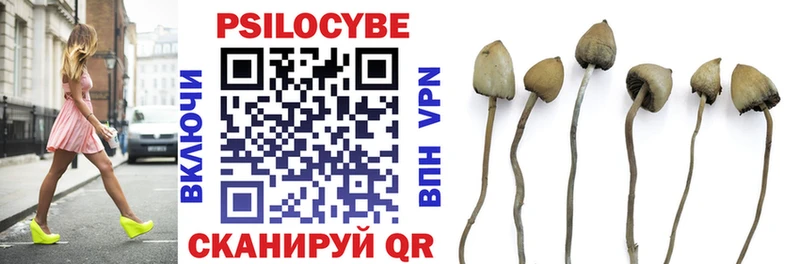 где купить наркоту  hydra ссылка  Галлюциногенные грибы MAGIC MUSHROOMS  Карабаш 
